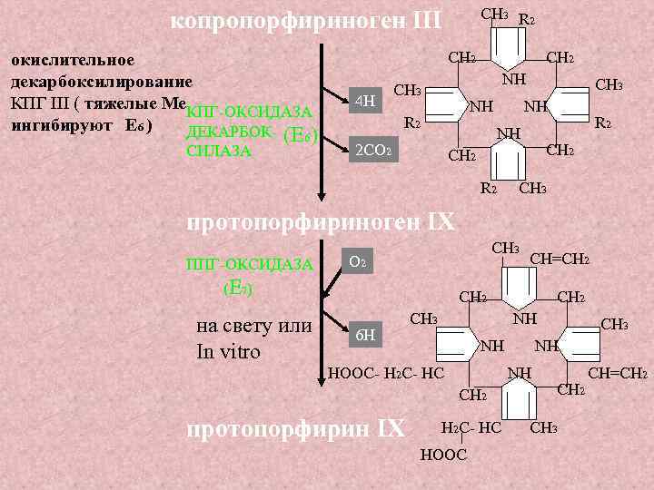 СН 3 R 2 окислительное декарбоксилирование КПГ III ( тяжелые Ме. КПГ-ОКСИДАЗА ингибируют Е