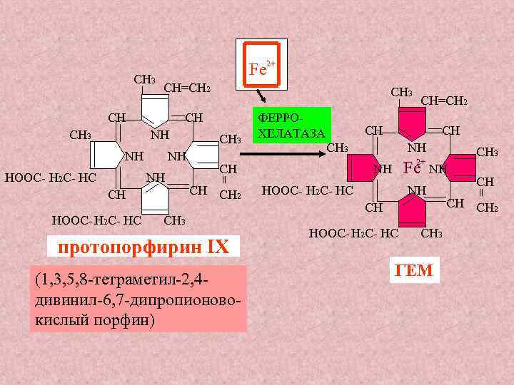 CН=СН 2 СН 3 CН=СН 2 _ _ СН 3 Fe 2+ СН СН