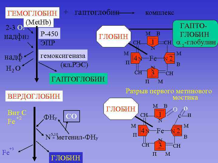 ГЕМОГЛОБИН + гаптоглобин (Met. Hb) 2 -3 О 2 надфн 2 Р-450 ГЛОБИН ЭПР
