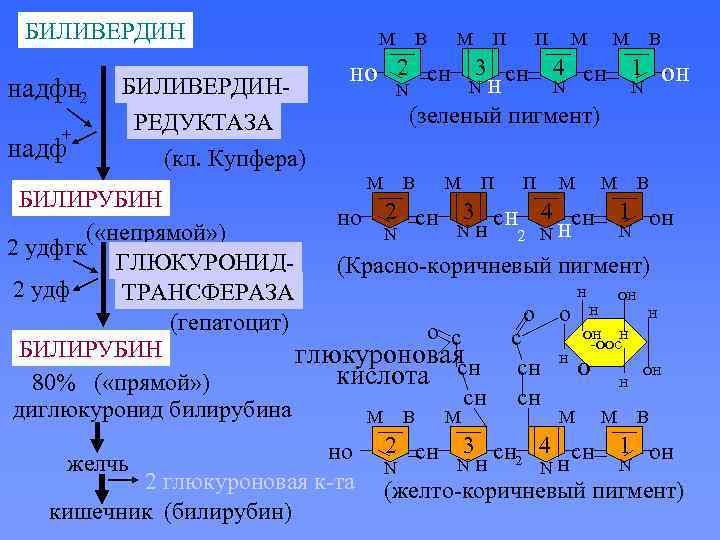БИЛИВЕРДИН надфн 2 + надф БИЛИВЕРДИН- M B M П П M M B