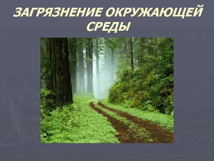 ЗАГРЯЗНЕНИЕ ОКРУЖАЮЩЕЙ СРЕДЫ 