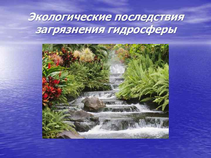 Экологические последствия загрязнения гидросферы 