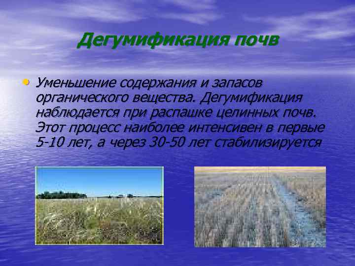 Дегумификация почв • Уменьшение содержания и запасов органического вещества. Дегумификация наблюдается при распашке целинных