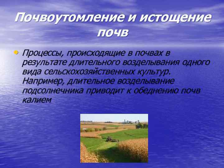 Почвоутомление и истощение почв • Процессы, происходящие в почвах в результате длительного возделывания одного