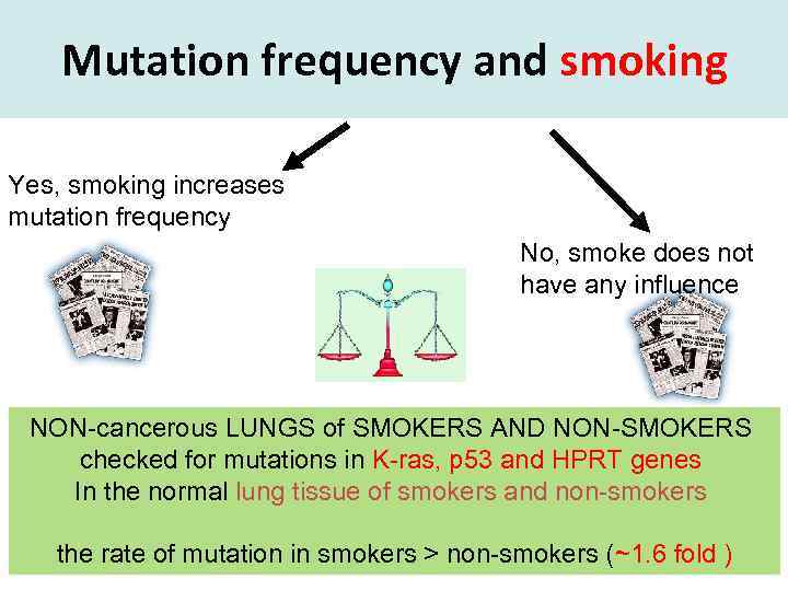 Mutation frequency and smoking Yes, smoking increases mutation frequency No, smoke does not have