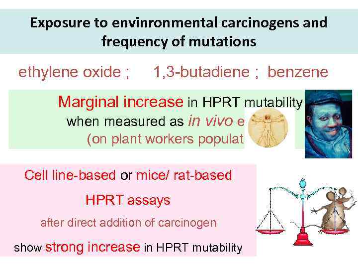 Exposure to envinronmental carcinogens and frequency of mutations ethylene oxide ; 1, 3 -butadiene