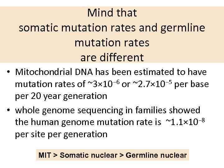 Mind that somatic mutation rates and germline mutation rates are different • Mitochondrial DNA