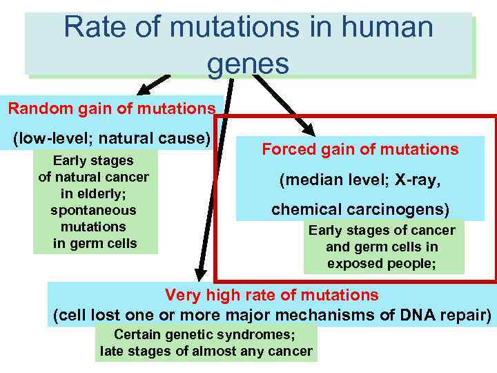 Rate of mutations in human RATES of molecular events in human genes cells Random