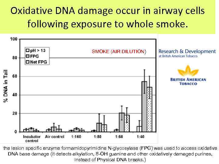 Oxidative DNA damage occur in airway cells following exposure to whole smoke. SMOKE (AIR