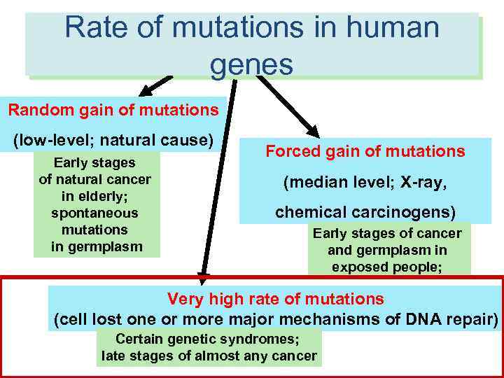 Rate of mutations in human RATES of molecular events in human genes cells Random