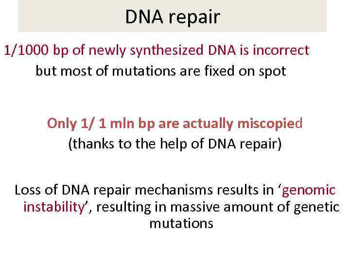 DNA repair 1/1000 bp of newly synthesized DNA is incorrect but most of mutations