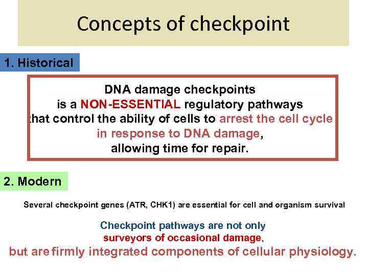 Concepts of checkpoint 1. Historical DNA damage checkpoints is a NON-ESSENTIAL regulatory pathways that