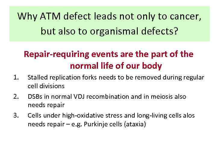 Why ATM defect leads not only to cancer, but also to organismal defects? Repair-requiring