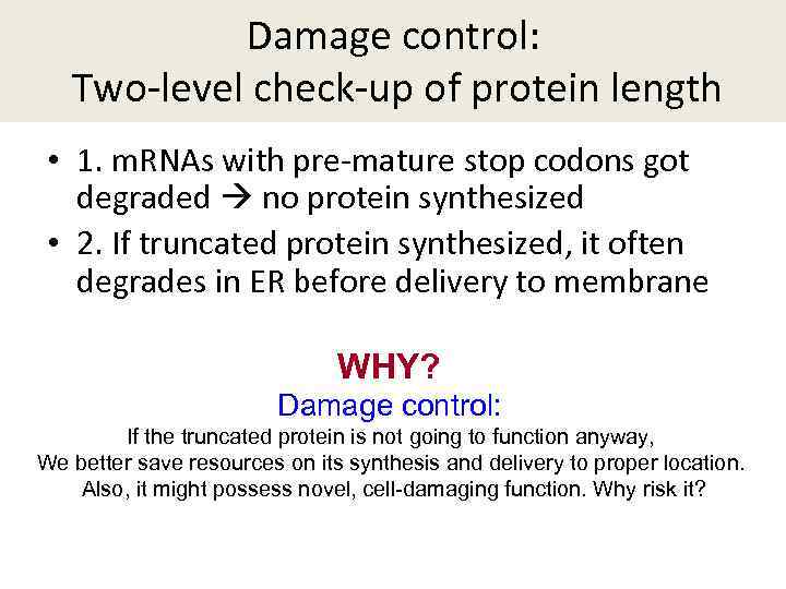 Damage control: Two-level check-up of protein length • 1. m. RNAs with pre-mature stop