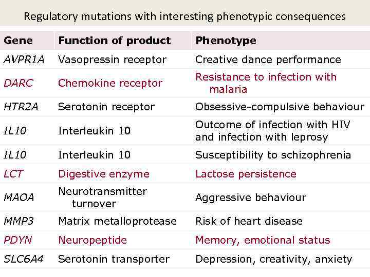 Regulatory mutations with interesting phenotypic consequences Gene Function of product Phenotype AVPR 1 A