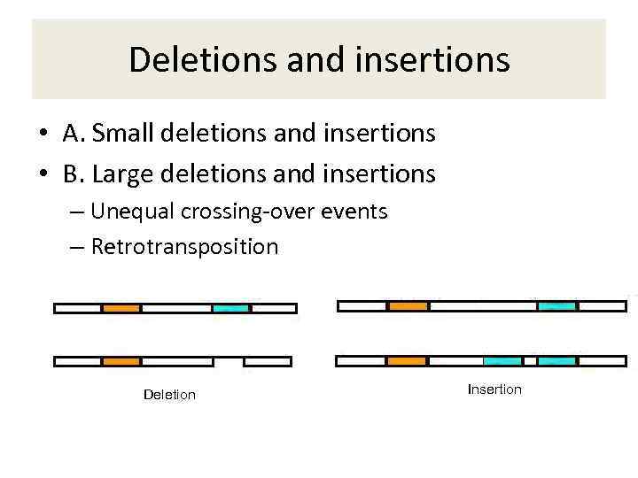 Deletions and insertions • A. Small deletions and insertions • B. Large deletions and