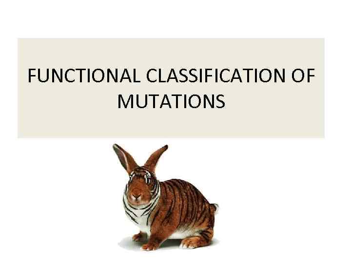 FUNCTIONAL CLASSIFICATION OF MUTATIONS 