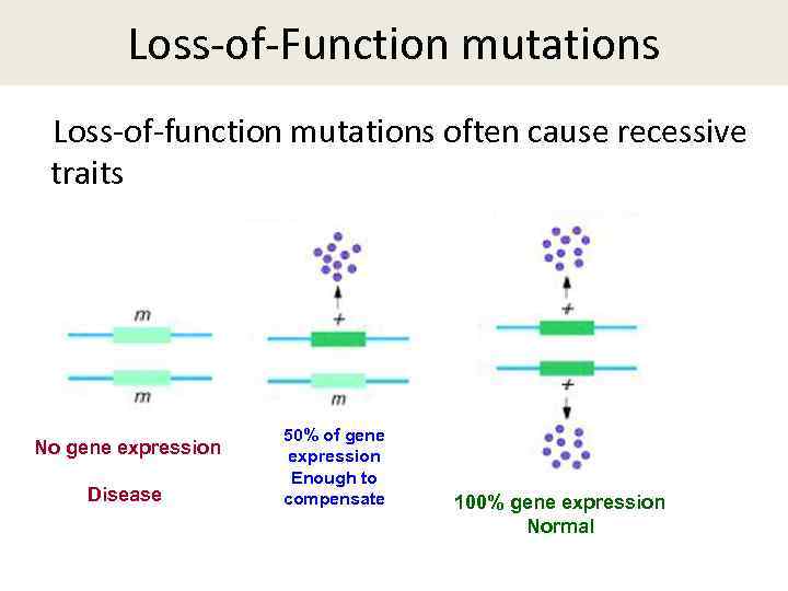 what are the two types of causes of mutations