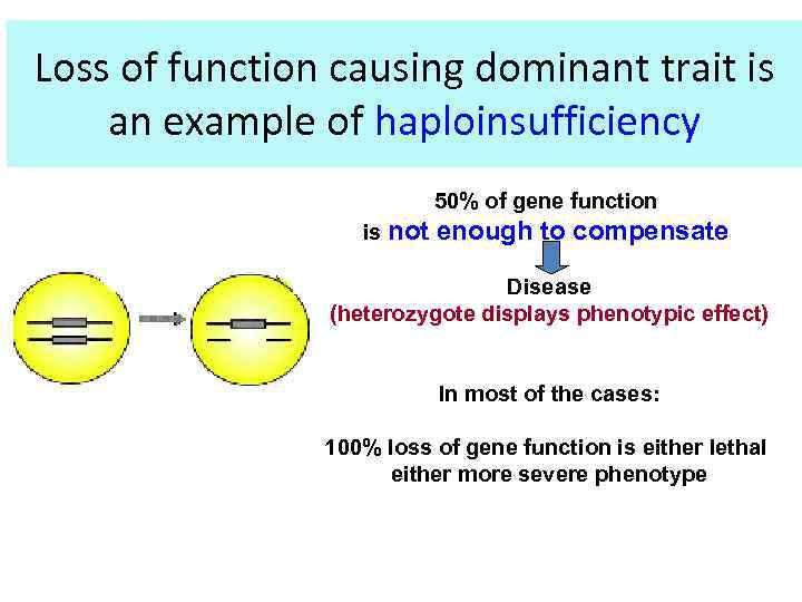 Loss of function causing dominant trait is an example of haploinsufficiency 50% of gene