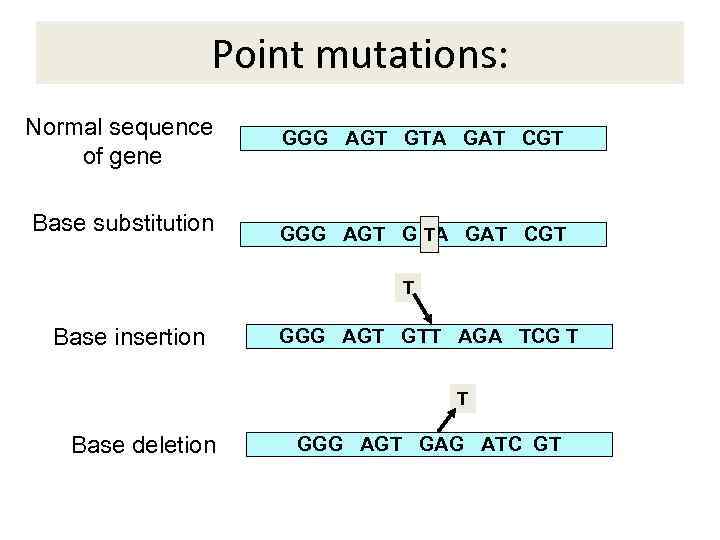 MUTATIONS And Their Consequences Mutation Definition