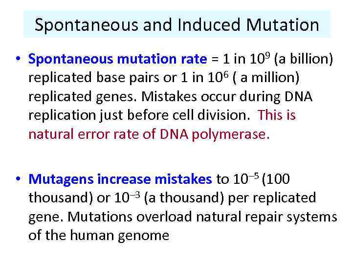 Spontaneous and Induced Mutation • Spontaneous mutation rate = 1 in 109 (a billion)