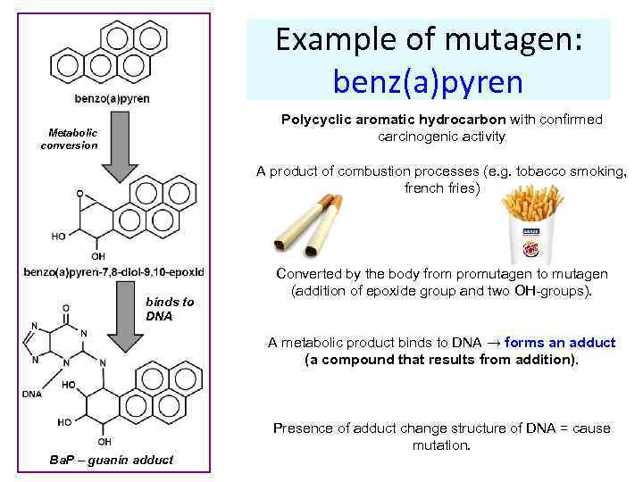 Example of mutagen: benz(a)pyren Polycyclic aromatic hydrocarbon with confirmed carcinogenic activity Metabolic conversion A