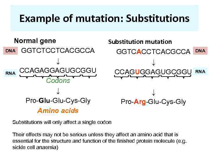 Example of mutation: Substitutions Normal gene DNA GGTCTCCTCACGCCA ↓ RNA CCAGAGGAGUGCGGU Codons ↓ Pro-Glu-Cys-Gly