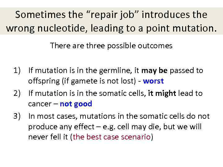 Sometimes the “repair job” introduces the wrong nucleotide, leading to a point mutation. There