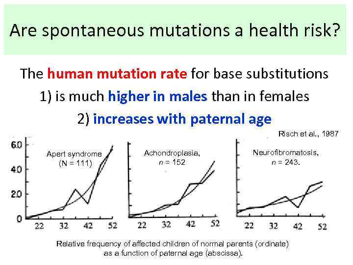 Are spontaneous mutations a health risk? The human mutation rate for base substitutions 1)