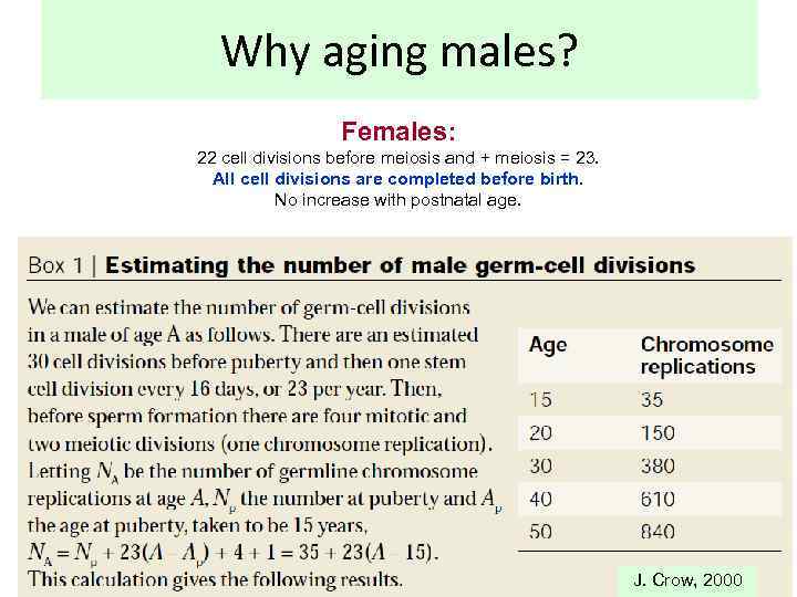 Why aging males? Females: 22 cell divisions before meiosis and + meiosis = 23.