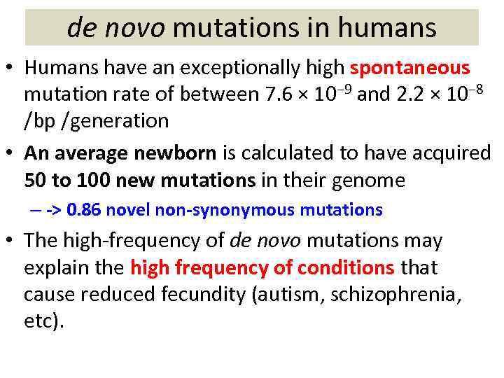 de novo mutations in humans • Humans have an exceptionally high spontaneous mutation rate