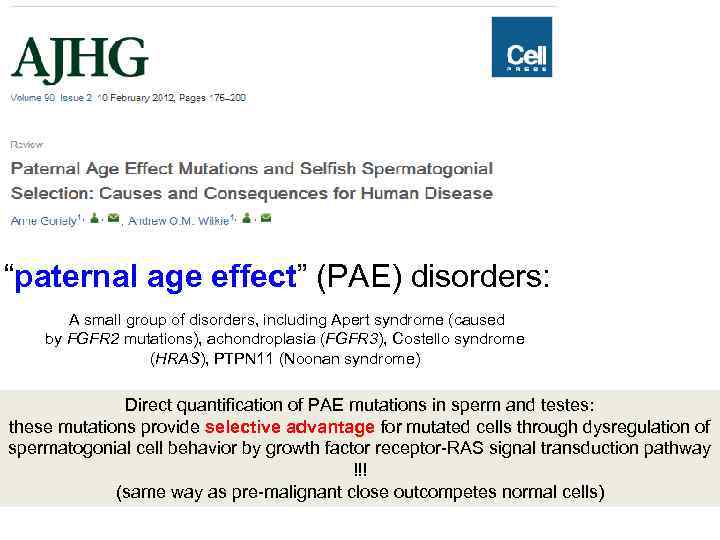  “paternal age effect” (PAE) disorders: A small group of disorders, including Apert syndrome