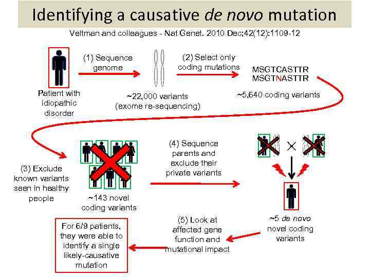 Identifying a causative de novo mutation Veltman and colleagues - Nat Genet. 2010 Dec;