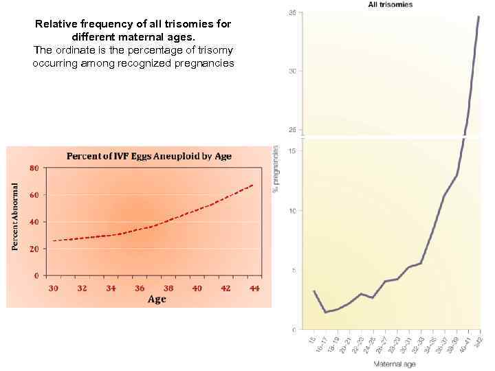 Relative frequency of all trisomies for different maternal ages. The ordinate is the percentage