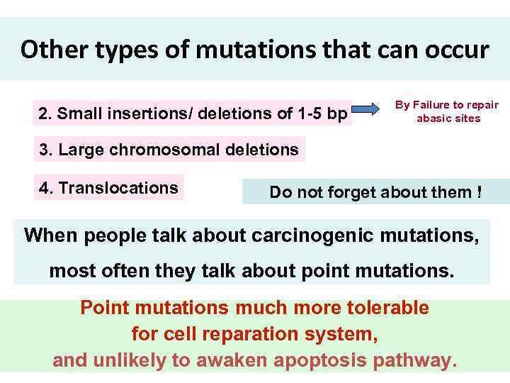 Other types of mutations that can occur 2. Small insertions/ deletions of 1 -5