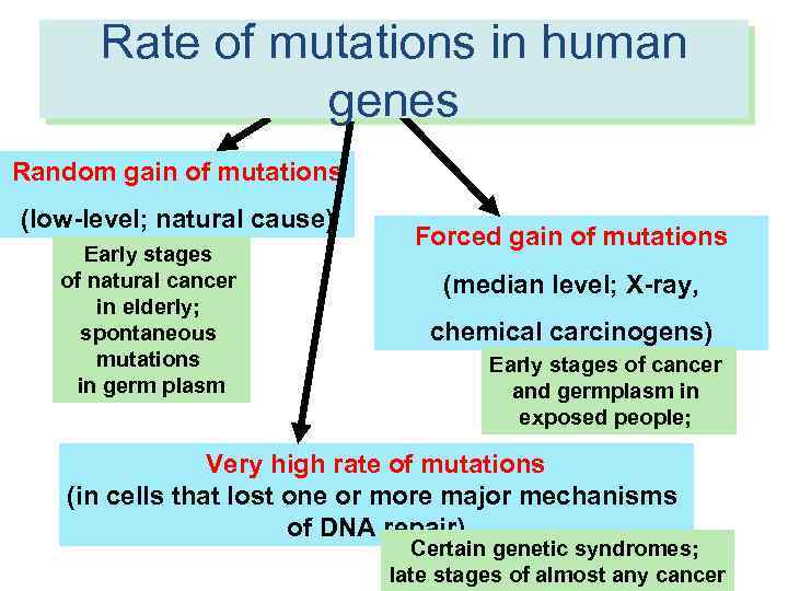 Rate of mutations in human RATES of molecular events in human genes cells Random