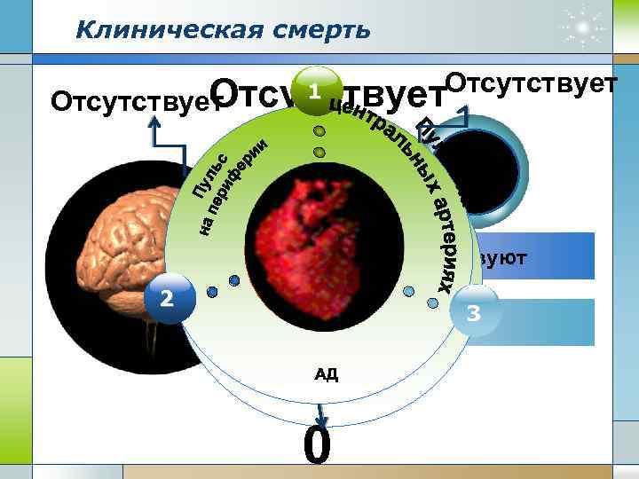 Клиническая смерть Отсутствует 1 Зрачок 2 1 Рефлексы отсутствуют Concept 3 Сознание угнетено 0