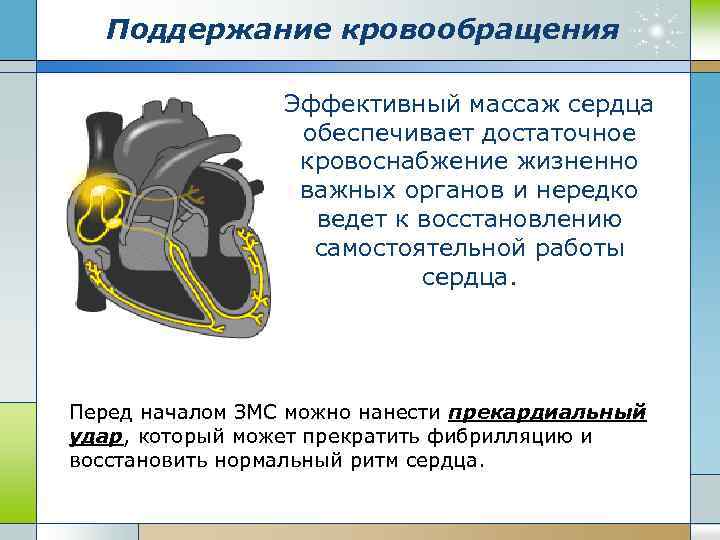 Поддержание кровообращения Эффективный массаж сердца обеспечивает достаточное кровоснабжение жизненно важных органов и нередко ведет