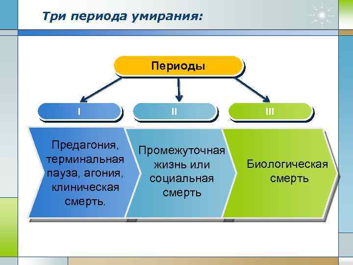 Три периода умирания: Периоды I Предагония, терминальная пауза, агония, клиническая смерть. II Промежуточная жизнь
