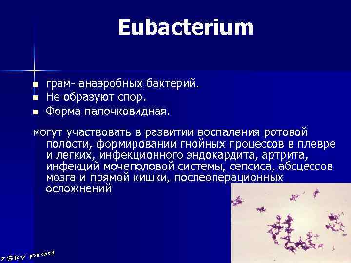 Eubacterium n n n грам- анаэробных бактерий. Не образуют спор. Форма палочковидная. могут участвовать