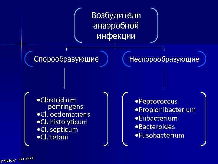 Возбудители анаэробной инфекции Спорообразующие ·Clostridium perfringens ·Cl. oedematiens ·Cl. histolyticum ·Cl. septicum ·Cl. tetani