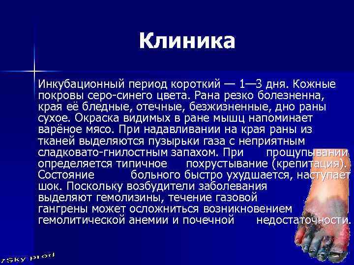 Клиника Инкубационный период короткий — 1— 3 дня. Кожные покровы серо-синего цвета. Рана резко