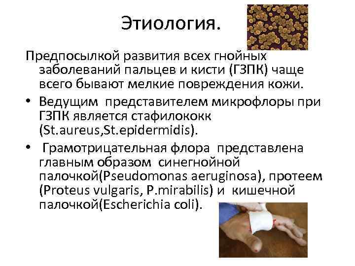 Этиология. Предпосылкой развития всех гнойных заболеваний пальцев и кисти (ГЗПК) чаще всего бывают мелкие