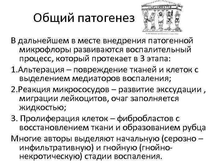 Общий патогенез В дальнейшем в месте внедрения патогенной микрофлоры развиваются воспалительный процесс, который протекает
