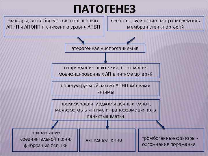 Факторы патогенеза. Патогенетические факторы. Патогенетические факторы имеющие отношение к процессу пролиферации. Патогенетические факторы процессу пролиферации.