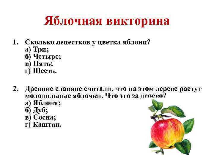 Яблочная викторина 1. Сколько лепестков у цветка яблони? а) Три; б) Четыре; в) Пять;