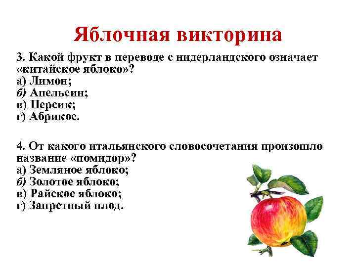 Яблочная викторина 3. Какой фрукт в переводе с нидерландского означает «китайское яблоко» ? а)