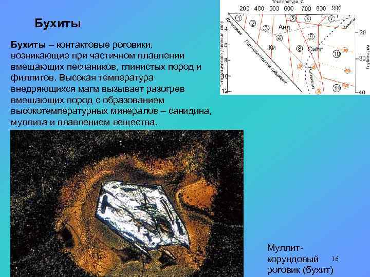 Бухиты – контактовые роговики, возникающие при частичном плавлении вмещающих песчаников, глинистых пород и филлитов.