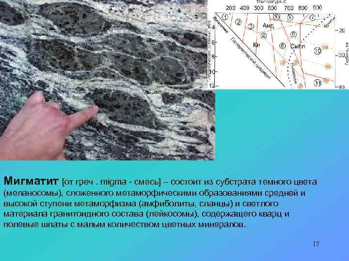 Мигматит [от греч. migma - смесь] – состоит из субстрата темного цвета (меланосомы), сложенного