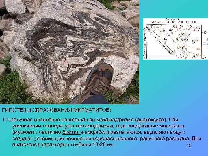 ГИПОТЕЗЫ ОБРАЗОВАНИЯ МИГМАТИТОВ: 1. частичное плавление вещества при метаморфизме (анатексисе). При увеличении температуры метаморфизма,